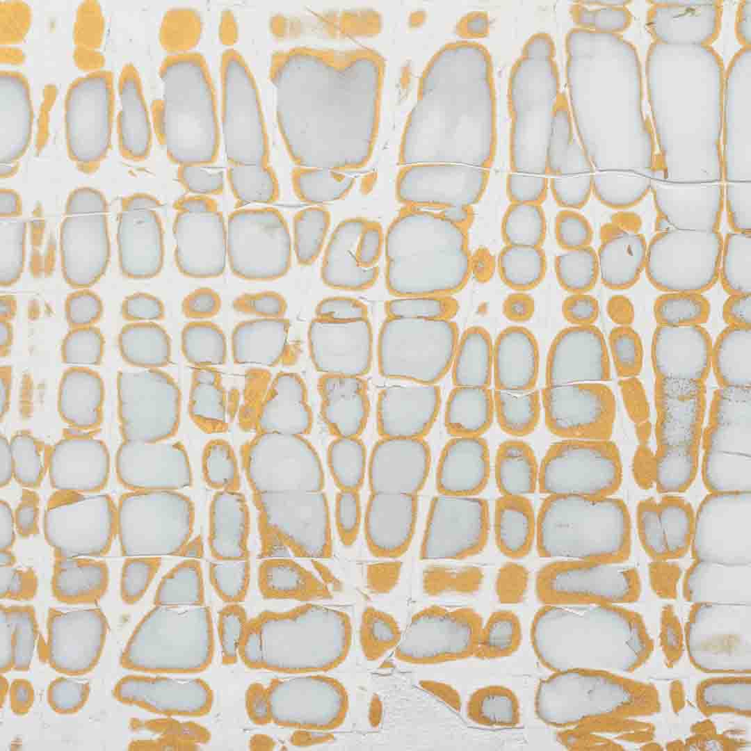 white and gold cracked gesso in square pattern