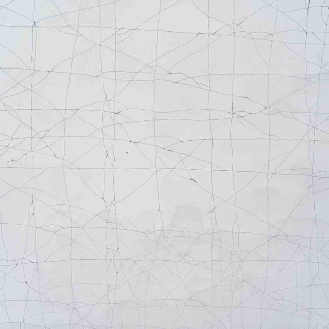 orgnaic pattern silver cracked gesso